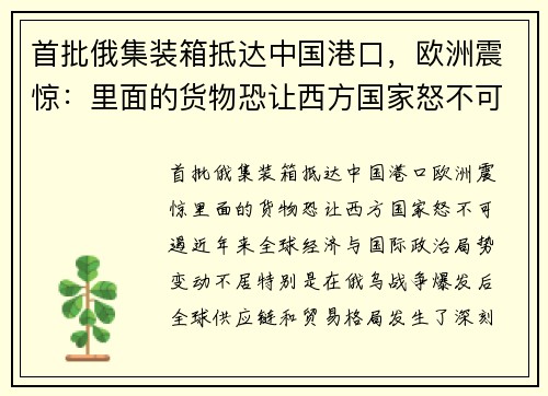 首批俄集装箱抵达中国港口，欧洲震惊：里面的货物恐让西方国家怒不可遏