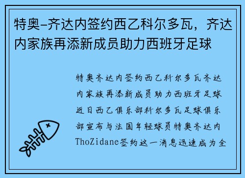 特奥-齐达内签约西乙科尔多瓦，齐达内家族再添新成员助力西班牙足球
